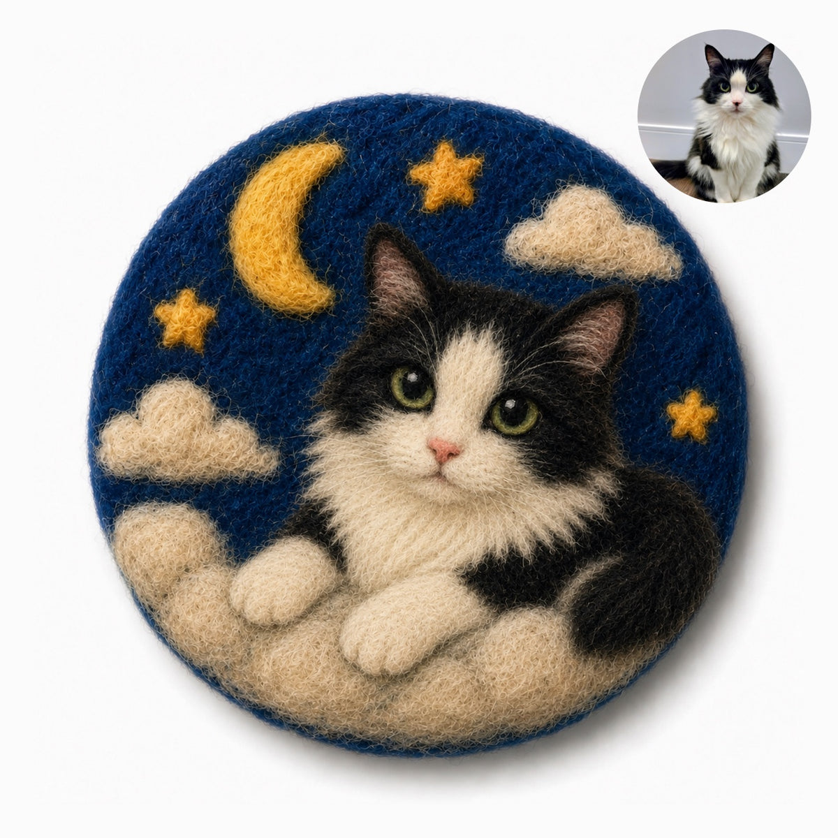 Custom Pet Wool Felt Fridge Magnet
