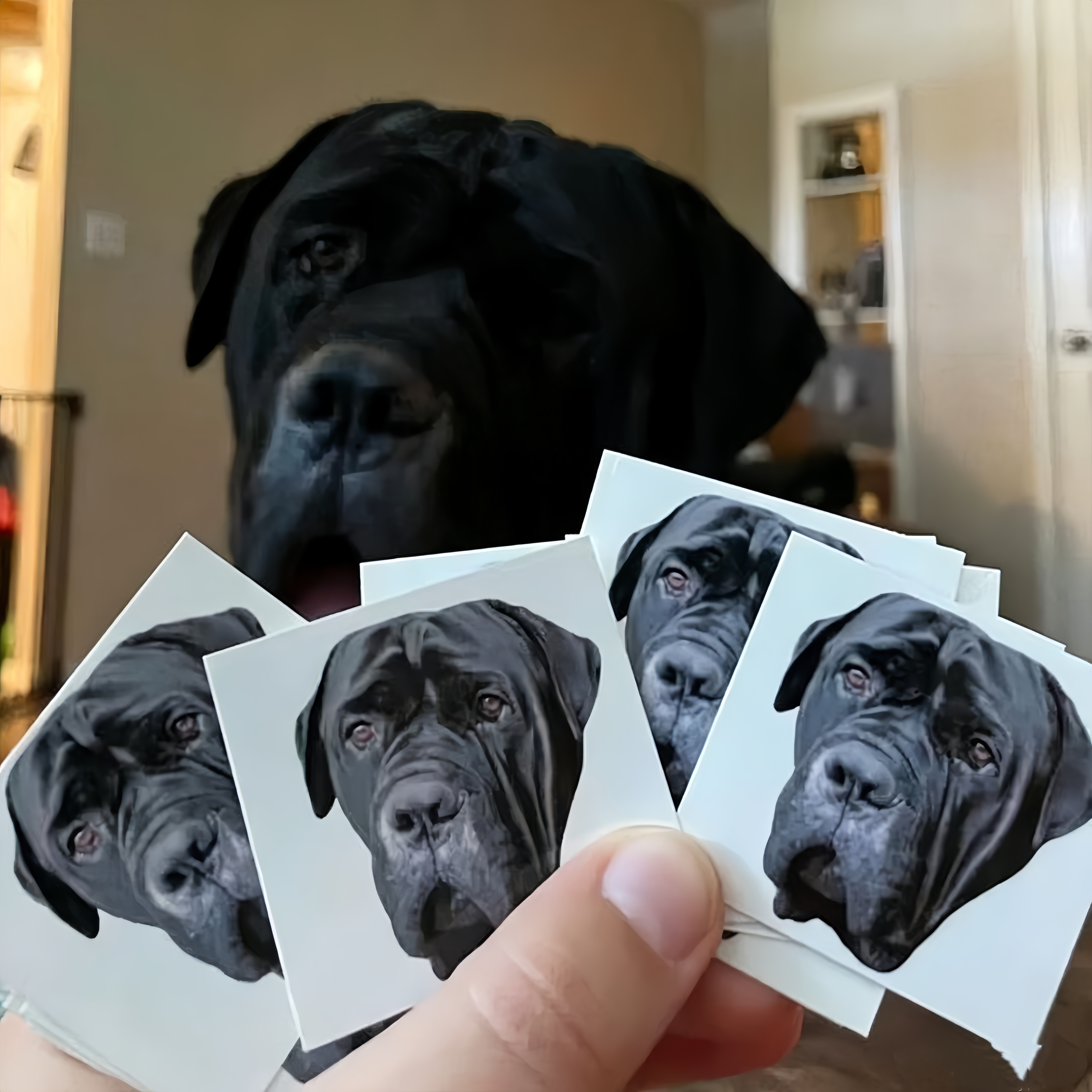 Custom pet tattoos