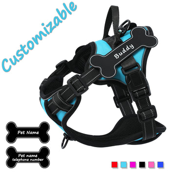 Personalized Dog Harness NO PULL Breathable Pet Harness Vest with Lovely Custom Patch Harness for Small Medium Large Dogs