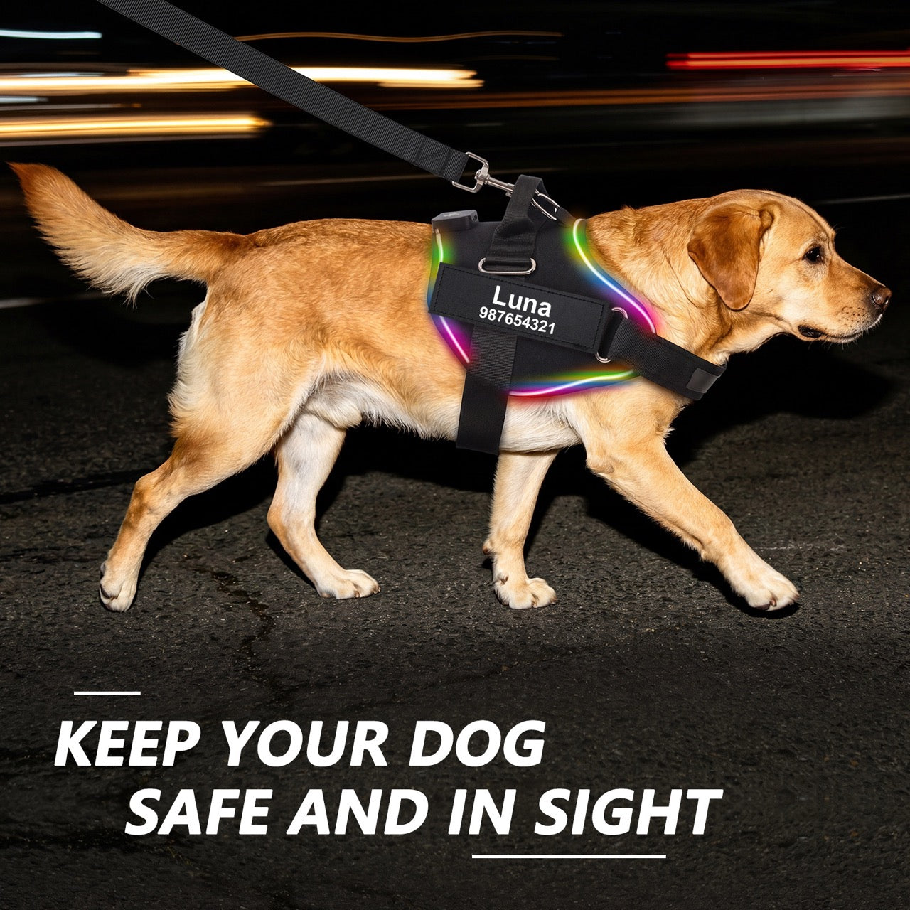 Personalized LED Light-Up Dog Harness with Custom Name & Phone Number