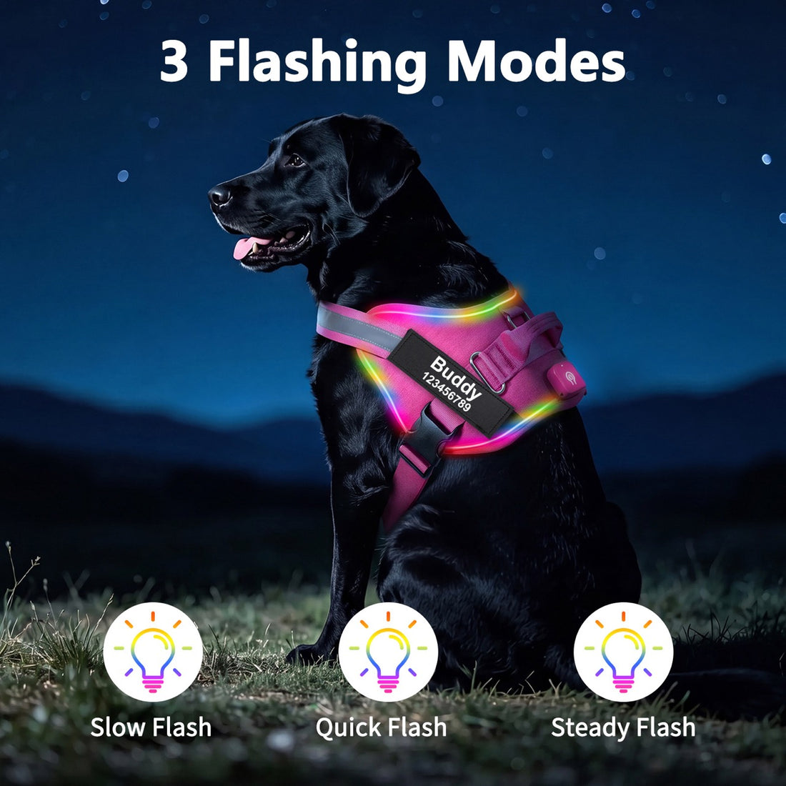 Personalized LED Light-Up Dog Harness with Custom Name & Phone Number