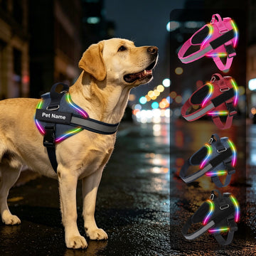 Personalized LED Light-Up Dog Harness with Custom Name & Phone Number