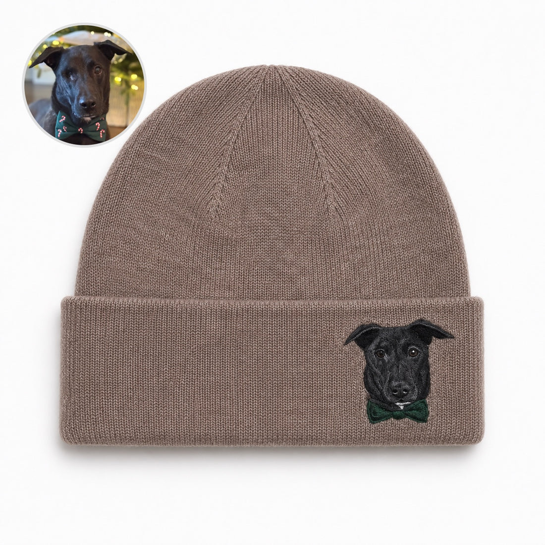 Custom Needle Felted Pet Portrait Hat | Hand-Felted Needle Art Hat