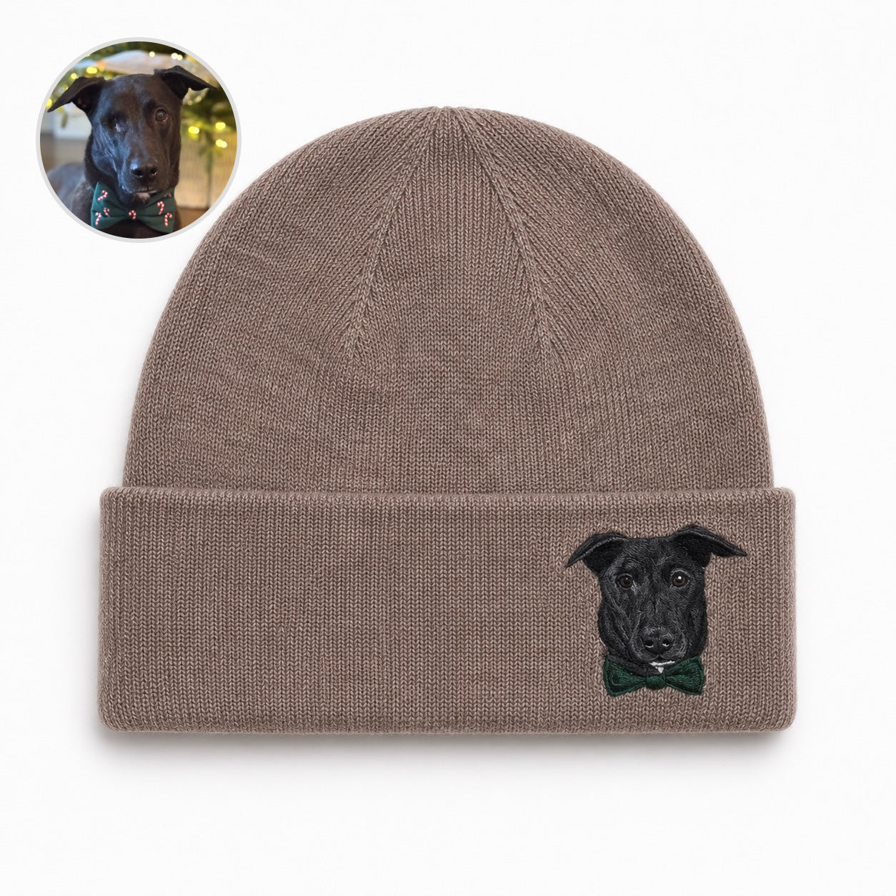 Custom Needle Felted Pet Portrait Hat | Hand-Felted Needle Art Hat